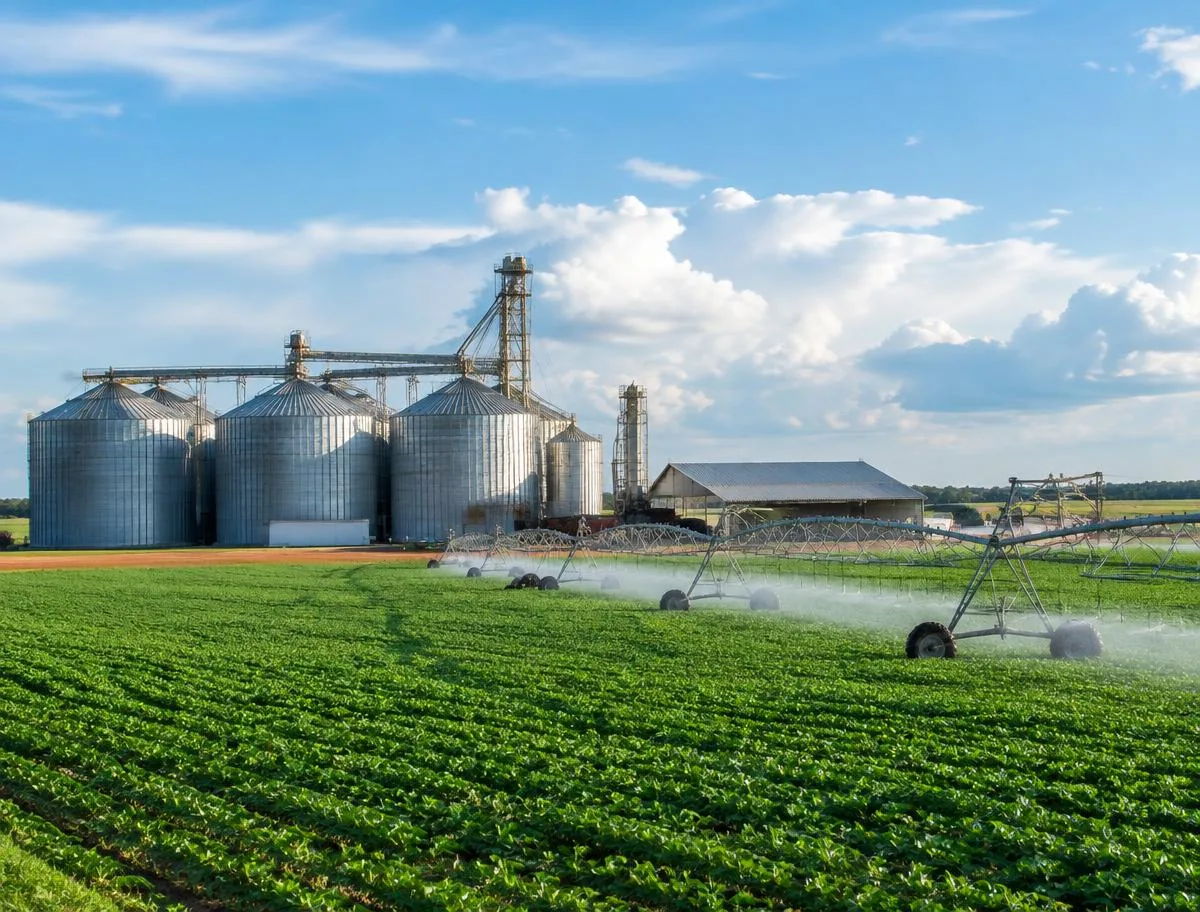 Lavoura irrigada com silos para armazenagem de grãos